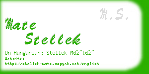 mate stellek business card